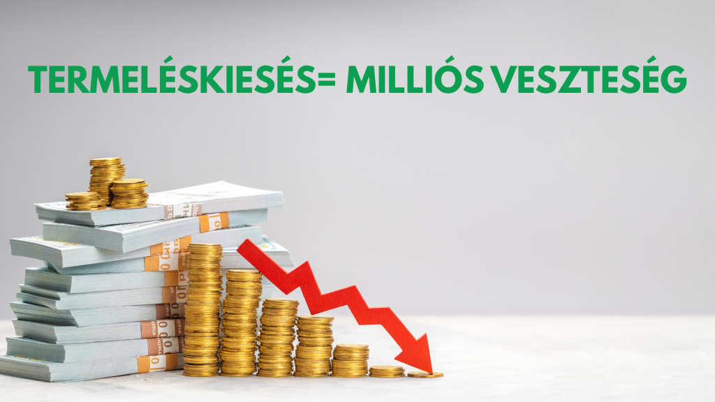 Termeléskiesés = milliós veszteség